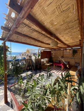 ASNFU AUBERGe